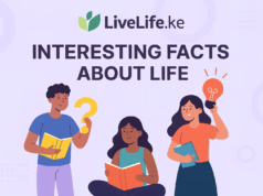 The persuit of “enough” Redefining success beyond the paycheck in Nairobi