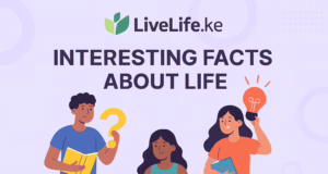 The persuit of “enough” Redefining success beyond the paycheck in Nairobi